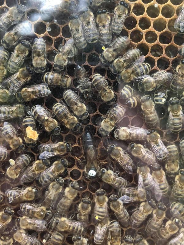 210700279 285349500000551 3938728021988781197 n