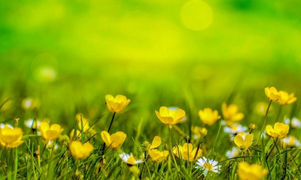 Cropped 6160 AA63 4715 4 EF2 BE5 F 8 FD7 ADB1 BF9 E 1